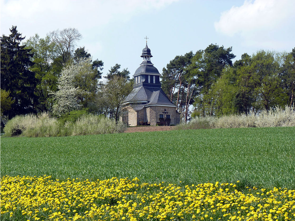 Impressionen aus Naumburg (Foto: Karl-Franz Thiede)